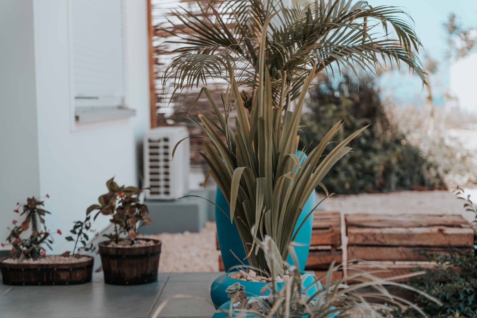 Zorgwoning in de tuin