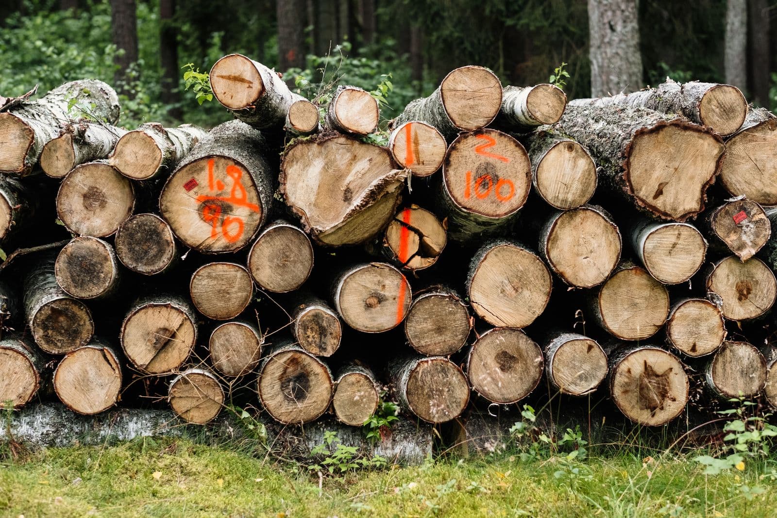 Ecologisch bouwen - Totaalrenovatie