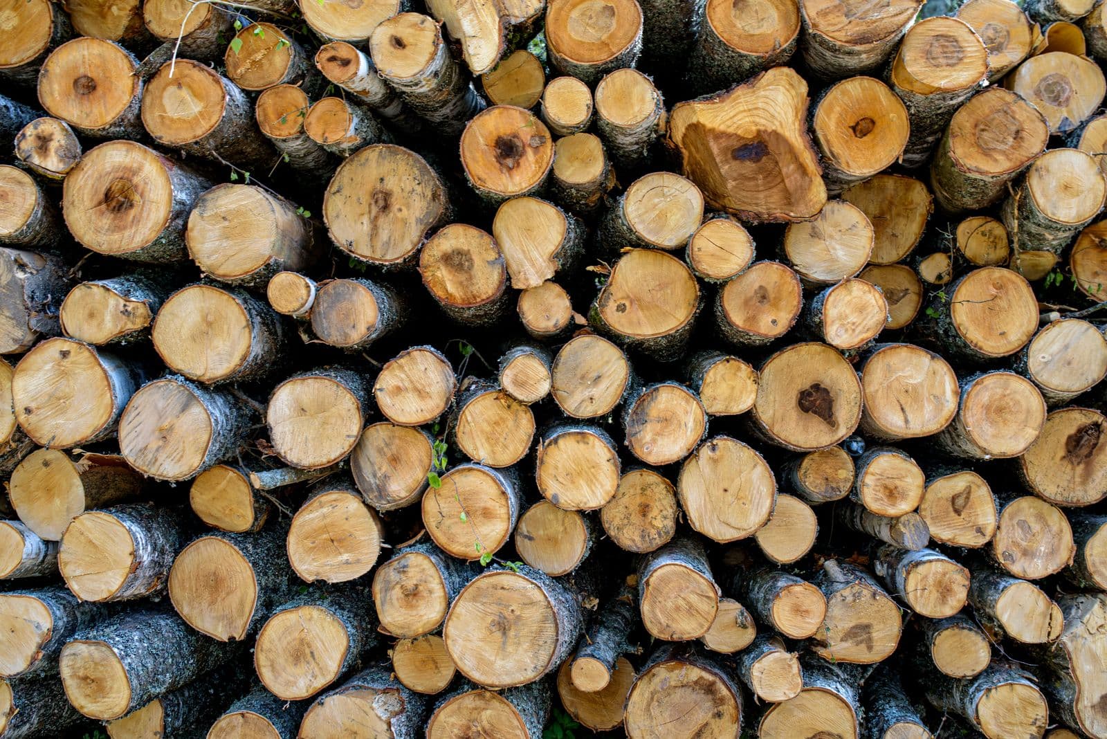 Ecologisch bouwen - Totaalrenovatie