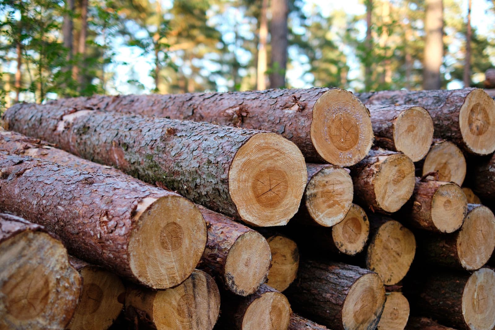 Ecologisch bouwen - Totaalrenovatie