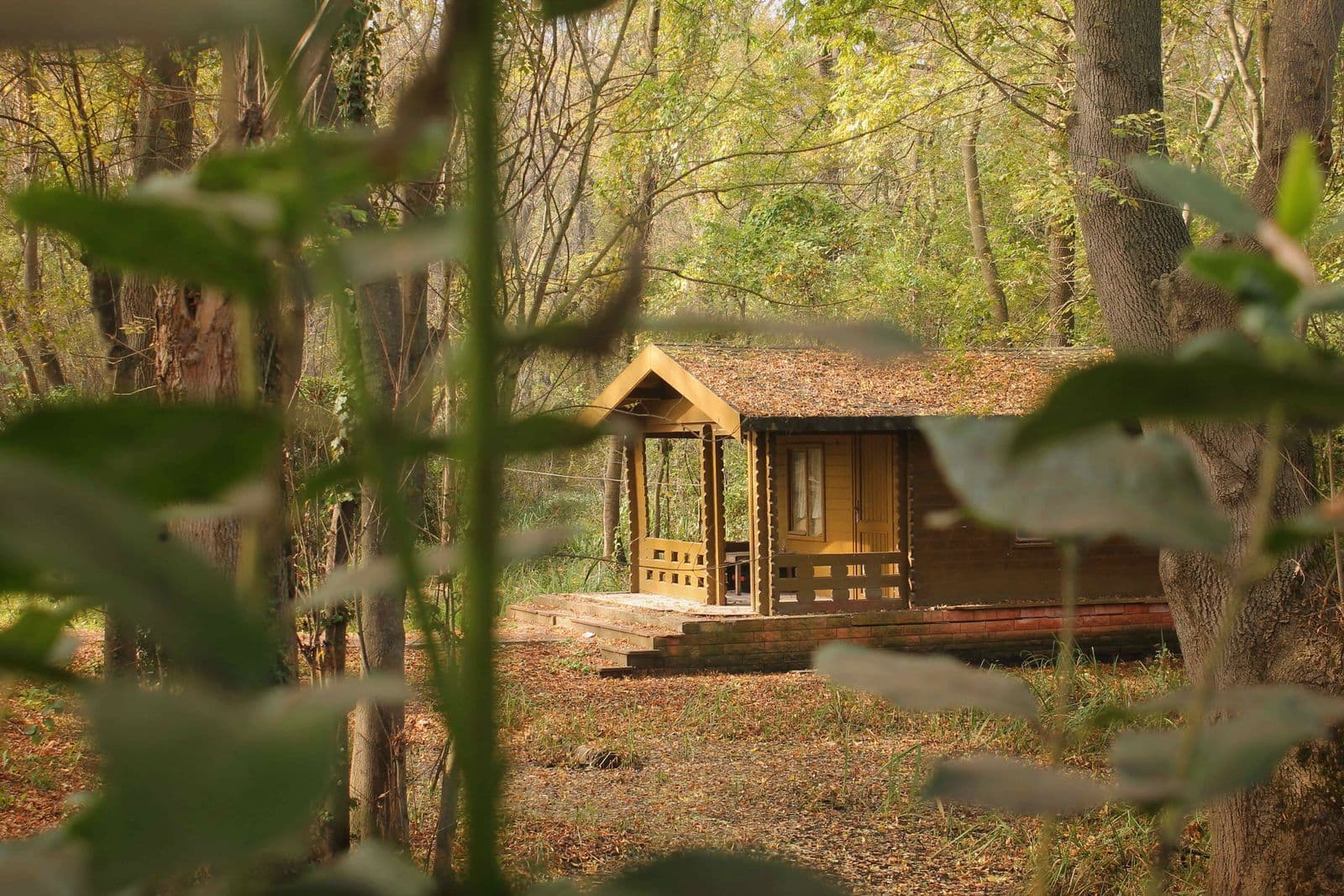 Tiny house