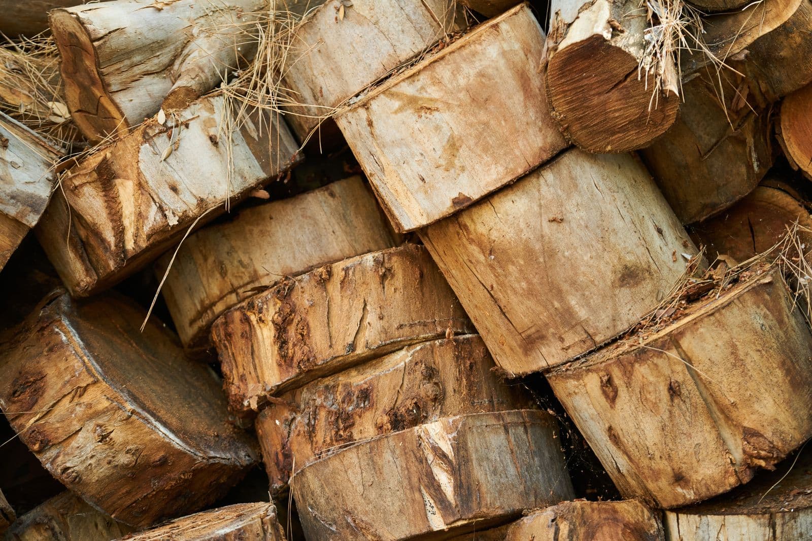 Ecologisch bouwen - Totaalrenovatie