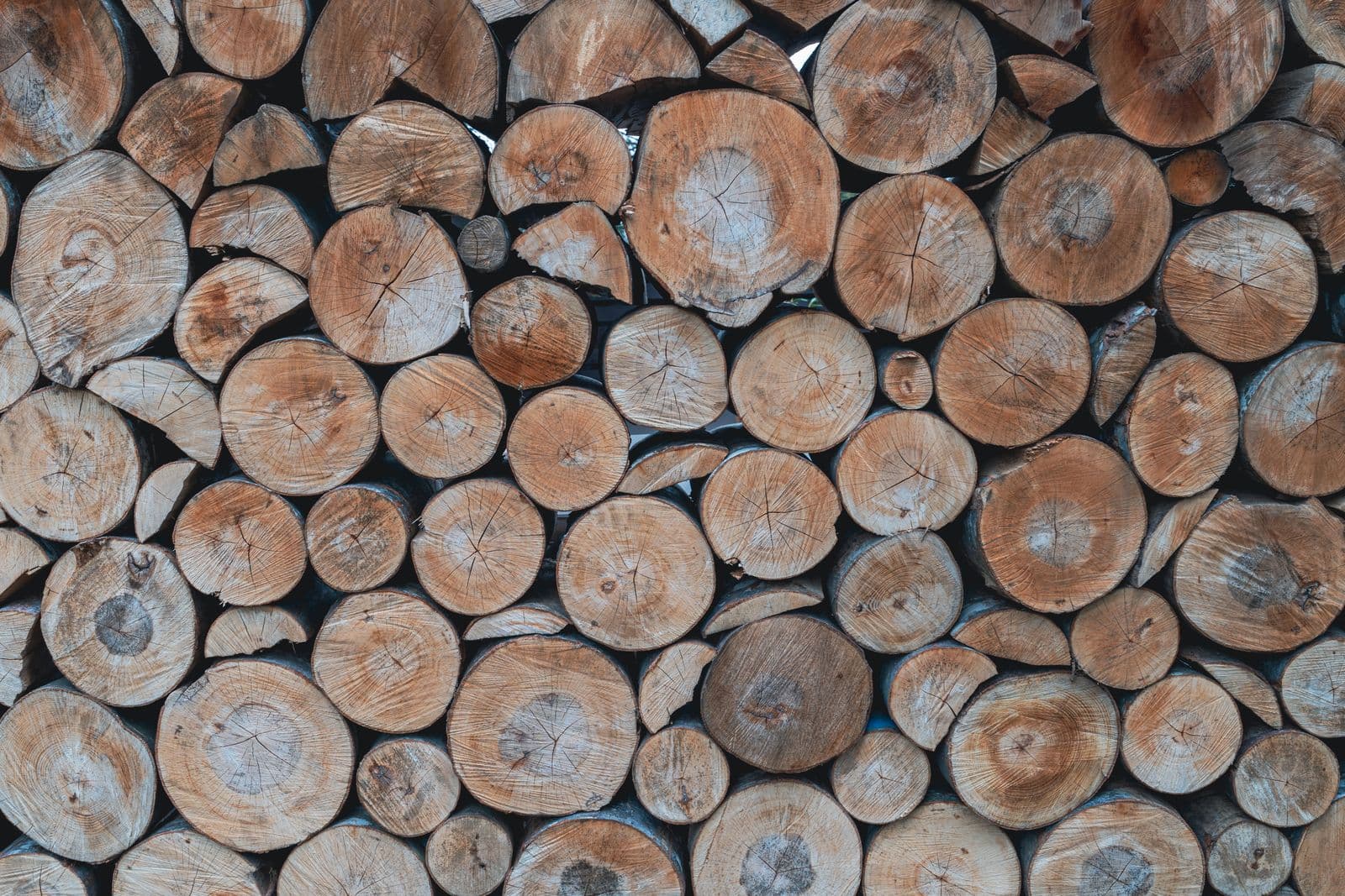 Ecologisch bouwen