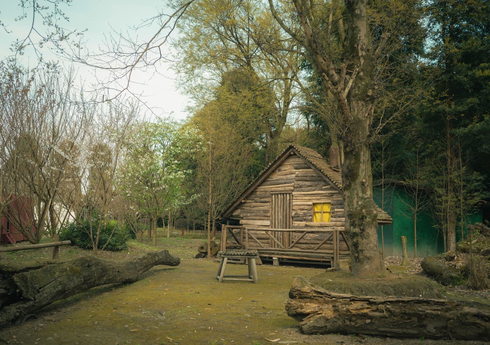 tinyhouses