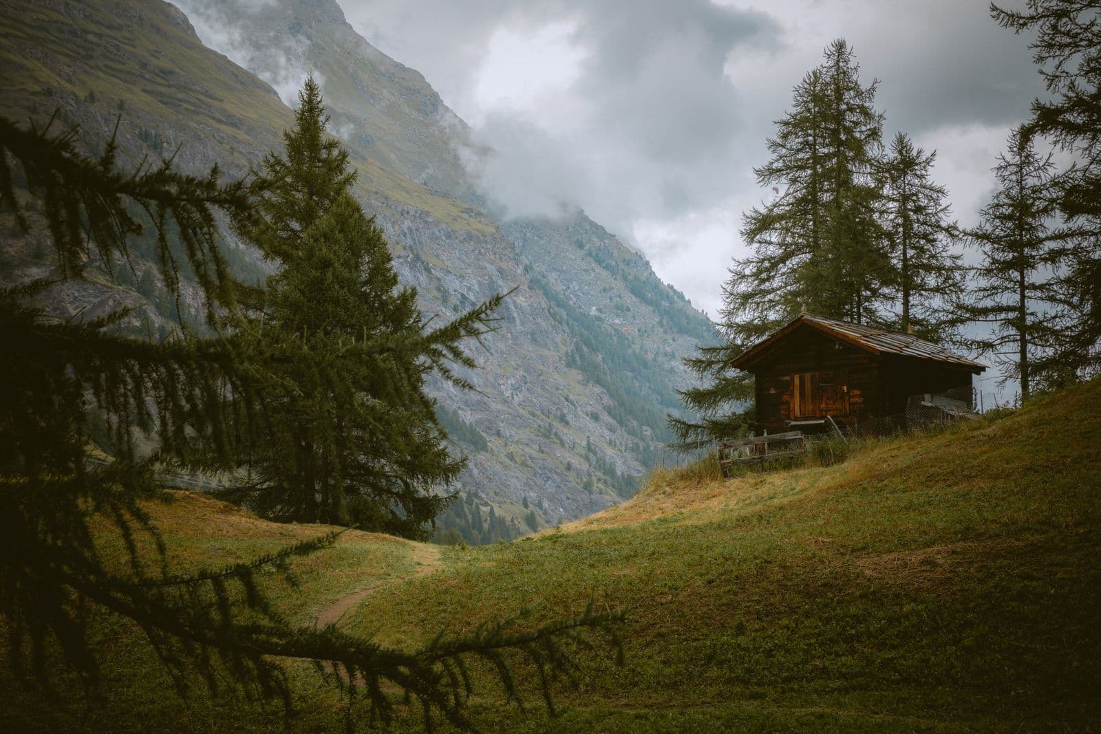 Tiny house