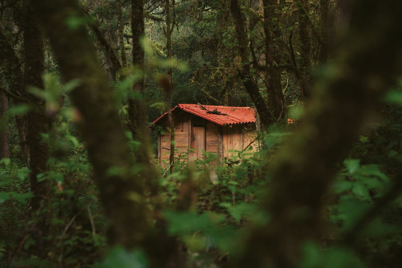 tinyhouses