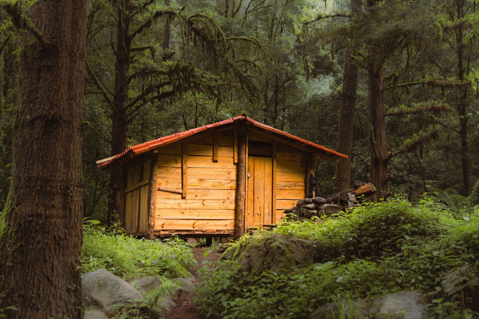 Tiny house Antwerpen