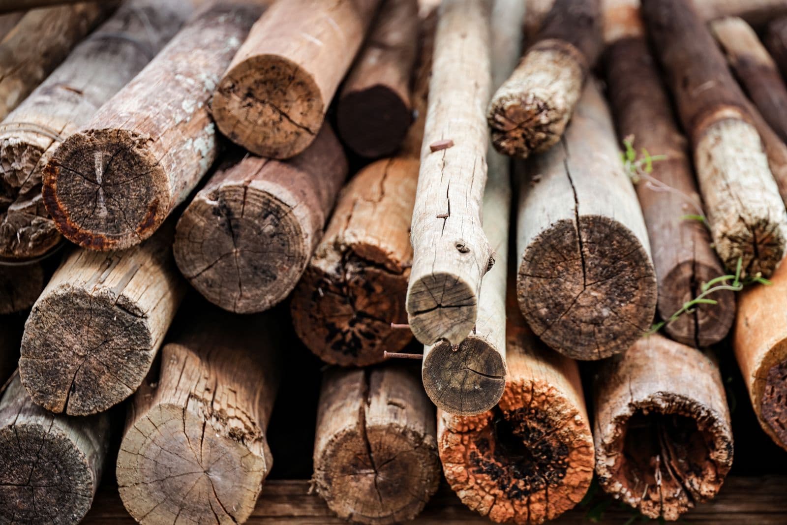 Ecologisch bouwen - Totaalrenovatie