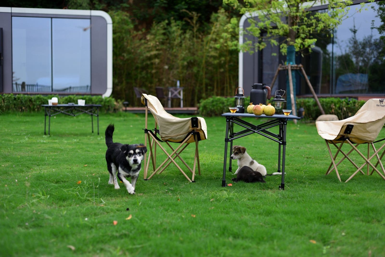 Tiny house Vlaanderen