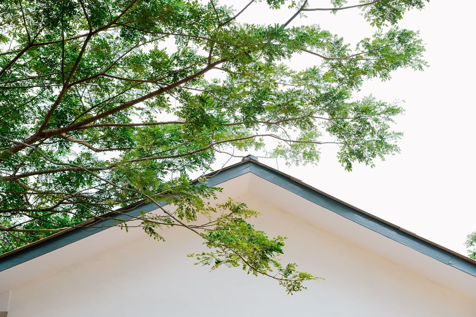 Ecologisch bouwen - Totaalrenovatie