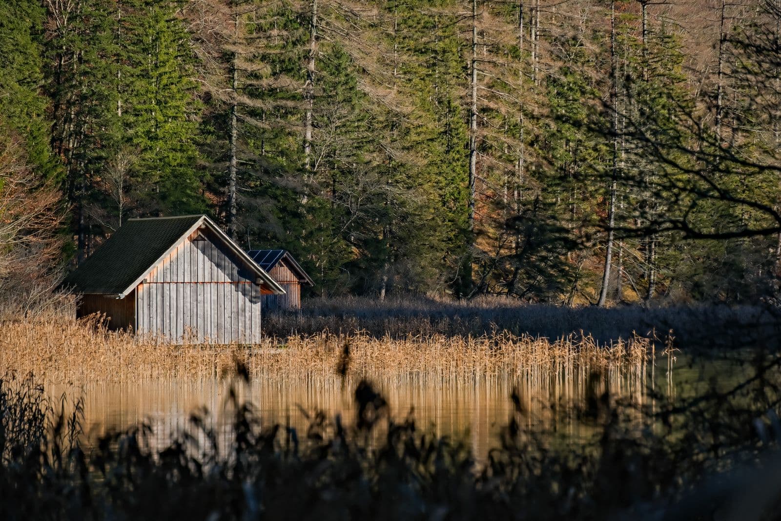 Tiny house