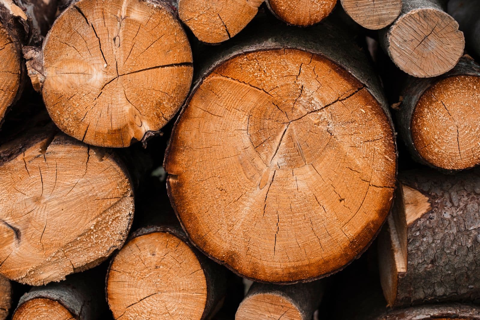 Wat is energieneutraal bouwen? Totaalrenovatie legt uit!