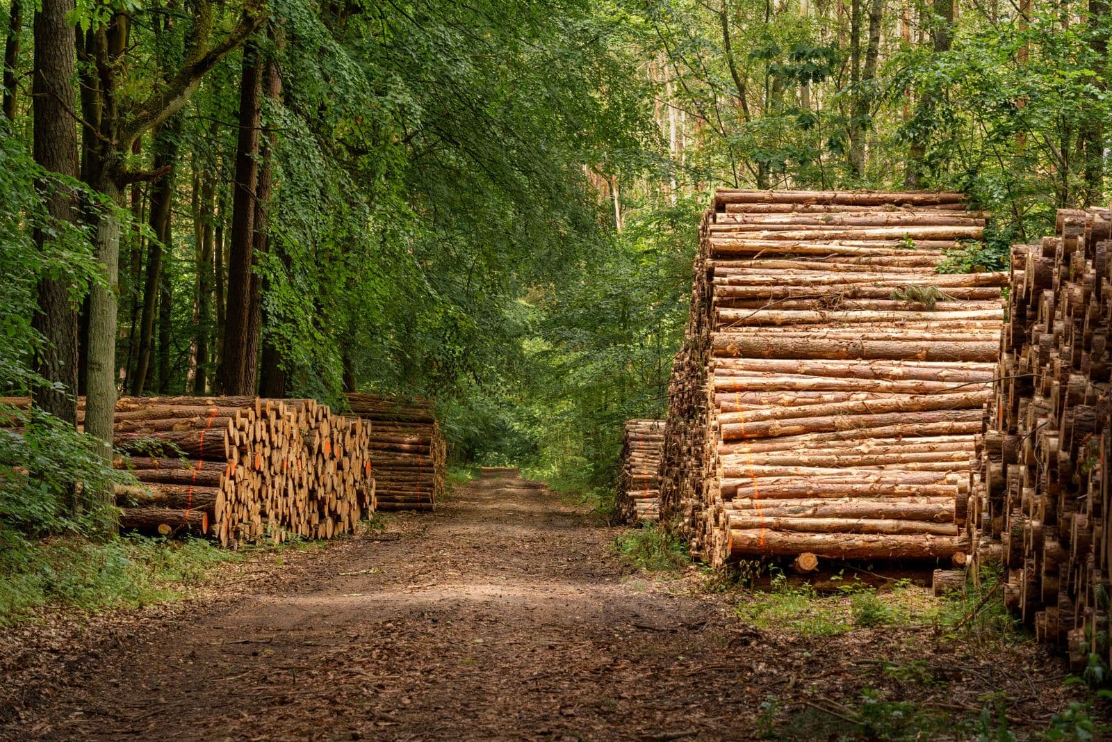Energieneutraal huis bouwen: prijs en informatie van Totaalrenovatie