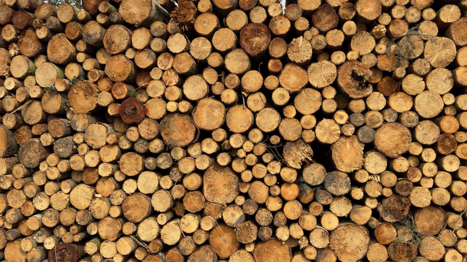 Ecologisch bouwen - Totaalrenovatie