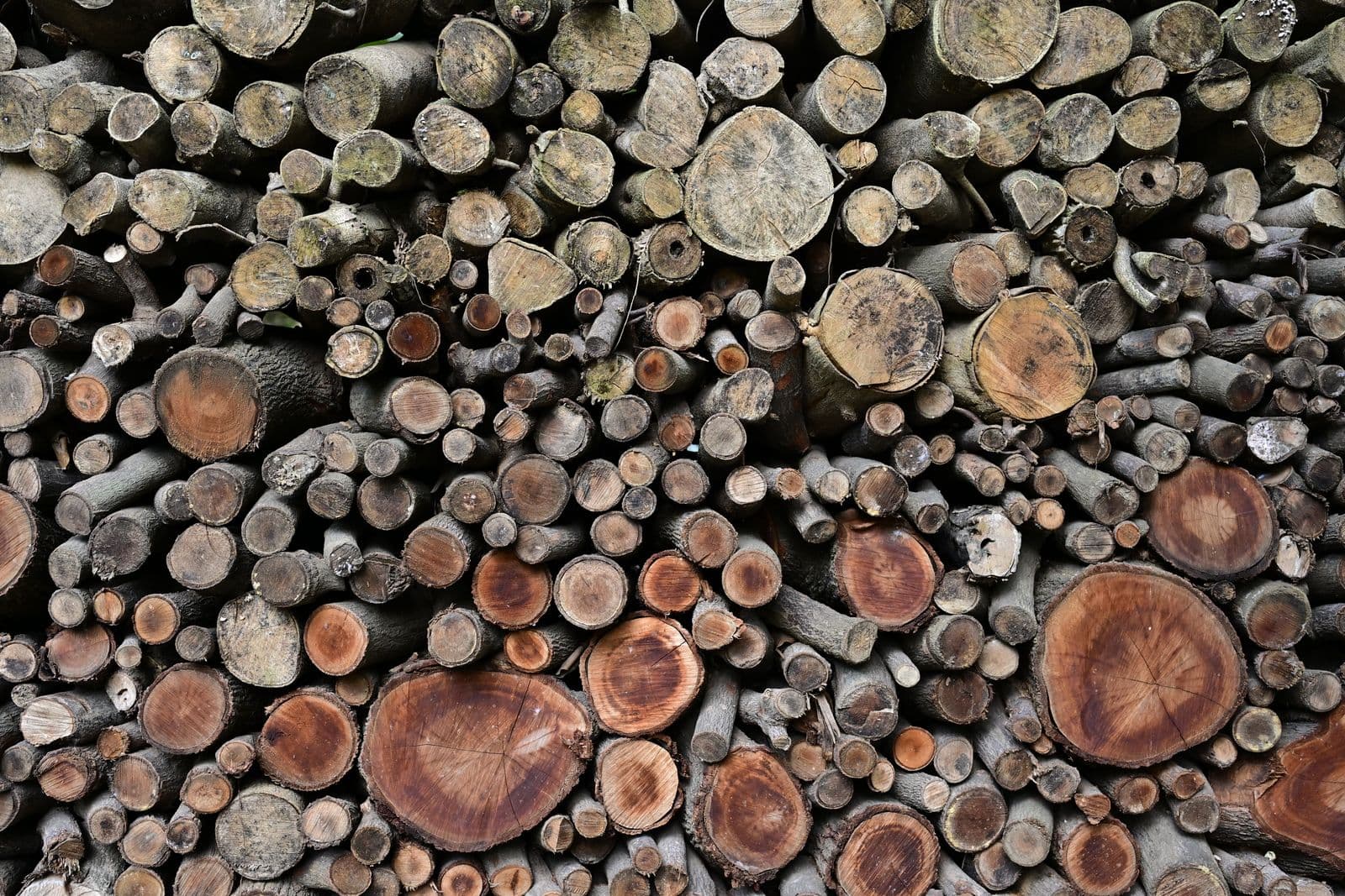 Ecologisch bouwen - Totaalrenovatie