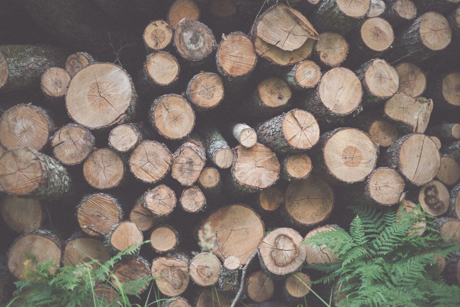 Ecologisch bouwen - Totaalrenovatie